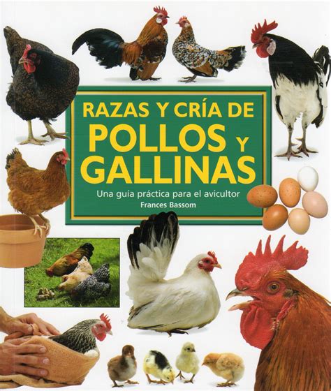 Razas Y CrÍa De Pollos Y Gallinas Una GuÍa PrÁctica Para El Avicultor
