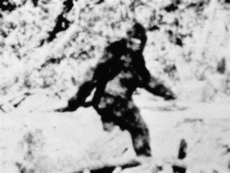Bigfoot If It Exists Heres Where To Find It