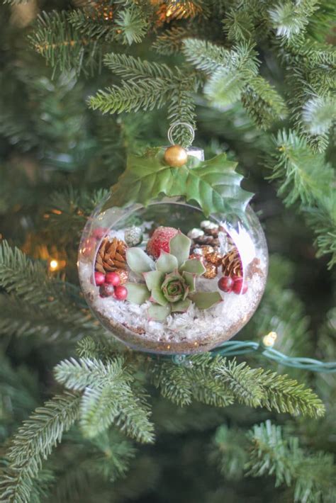 You can take it outdoors during the summer, too, then back in before it gets too cold. DIY Christmas Ornaments with Live Succulents - Natalie Linda