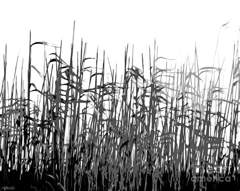 Coastal Grasses Digital Art By Lizi Beard Ward Fine Art America
