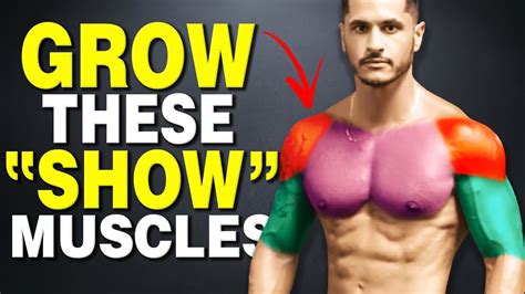 3 Show Muscles That Make You Look Bigger Fast