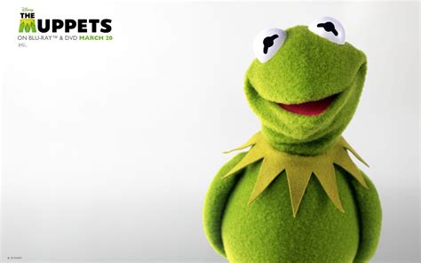 The Muppets Full Hd Wallpaper And Background Image 1920x1200 Id511941