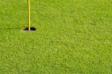 Green Grass At A Beautiful Golf Course Stock Image Image Of Green