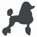 Poodle Silhouette Dog Silueta Svg Perro Standard