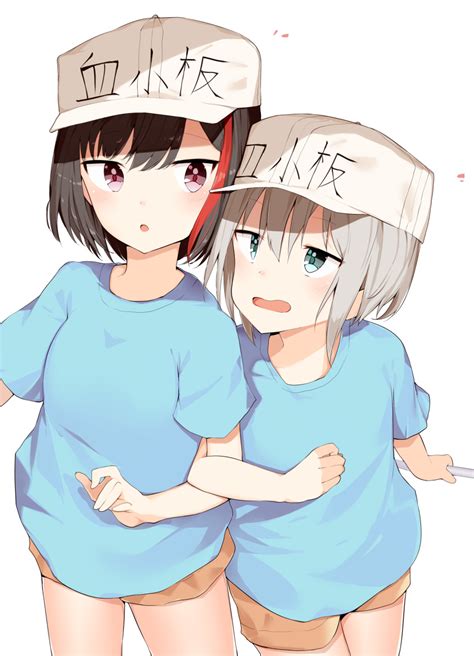 Kura Ekaki Aoba Moca Mitake Ran Platelet Hataraku Saibou Bang Dream Hataraku Saibou