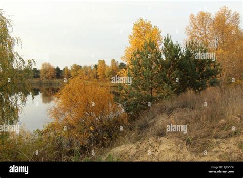 On The Autumn Shore Of A Forest Lake Stock Photo Alamy