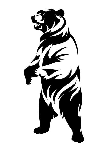 Bear Illustrations Royalty Free Vector Graphics And Clip Art Istock