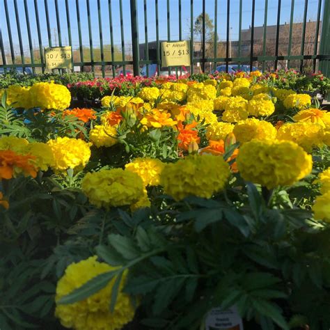Maybe you would like to learn more about one of these? Produce Junction - Posts | Facebook
