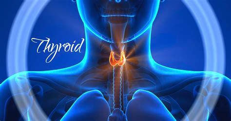 10 Signs You May Have A Thyroid Problem