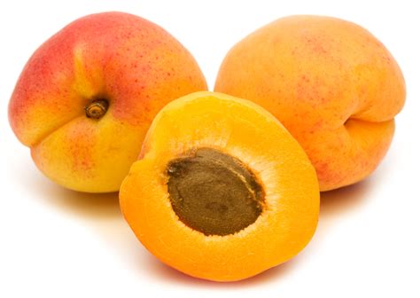 Yellow Apricot Perlb