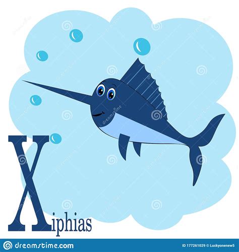 X For Xiphias Abc Animal Alphabet Cartoon Vector