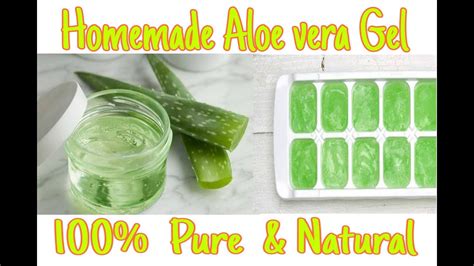 Diy Homemade Aloe Vera Gel L Pure L How To Make Aloe Vera Gel And