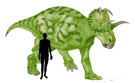 Existed from 83.5 million years ago to maastrichtian age. Albertaceratops Pictures & Facts - The Dinosaur Database