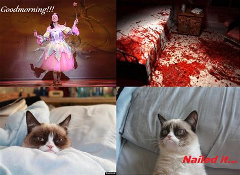 Nailed It Grumpy Cat Know Your Meme