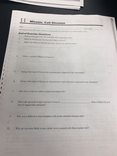 Does mitosis occur in animal cells. Solved: I Mitosis: Cell Division End-of-Exercise Questions ...