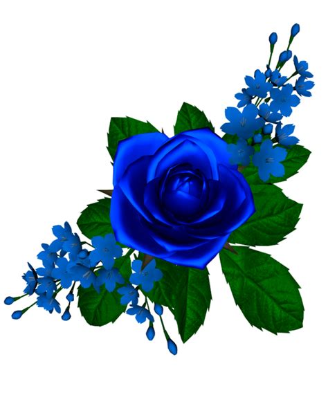 ForgetMeNot: blue roses png image