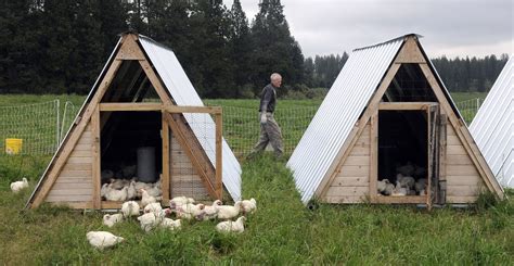 Watching them roam in the backyard, pecking at bugs, can be soothing. Organic Free-Range Chicken Farm - A picture story at The ...
