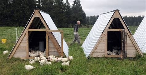 Statistiques et évolution des crimes et délits enregistrés auprès des services de police et gendarmerie en france entre 2012 à 2019 Organic Free-Range Chicken Farm - A picture story at The ...