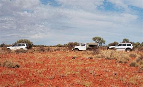 Animal crossing (sometimes seen as animal crossing: Game Puzzle on The Great Victoria Desert, Australia Image ...