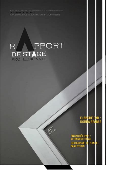 Rapport De Stage Professionnel By Dorra Besbes Issuu