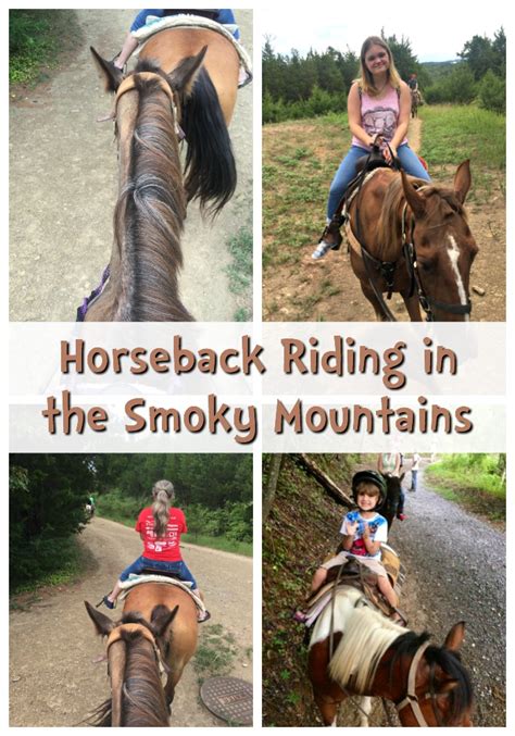 Horseback Riding In Smoky Mountains Of Tennessee