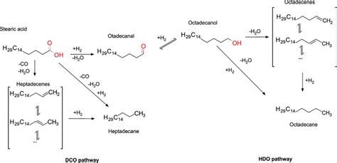 Scheme 1 Possible Reaction Pathways In Deoxygenation Of Stearic Acid