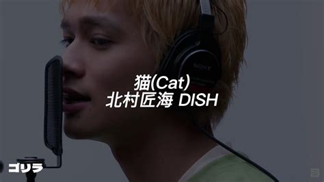 『歌詞付き』dish 猫 Neko The First Take Ver Romaji Lyrics Youtube