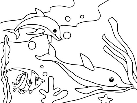 Dolphins Swims Under The Sea Coloring Page Free Printable Coloring Pages