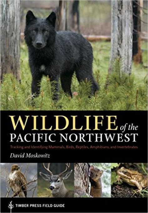 Wildlife Of The Pacific Northwest — David Moskowitz Wildlife Tracking