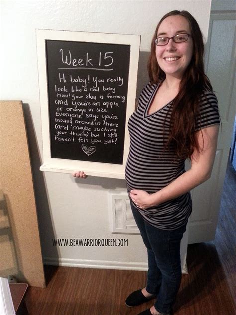 15 Weeks Pregnant The Maternity Gallery