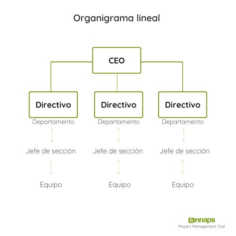 Organigrama Lineal De Una Empresa Ejemplo Nuevo Ejemplo Images