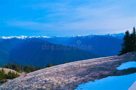 Cascades Mountains In The Northern Part Of America Stock Image Image