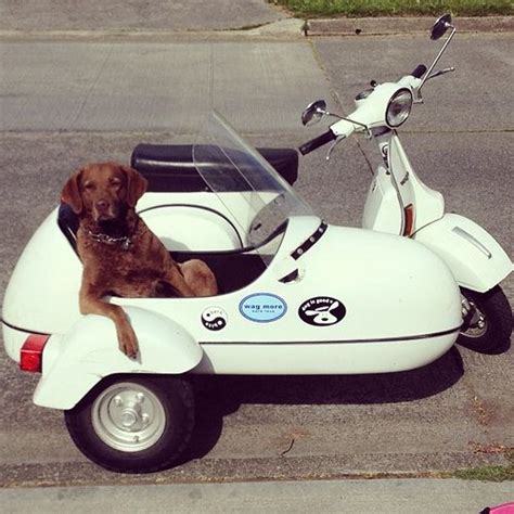 Dog Is My Copilot Biking With Dog Biker Dog Sidecar