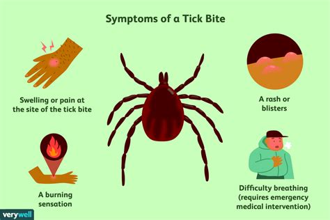 How To Identify Tick Bites Tick Bite Pictures Igenex