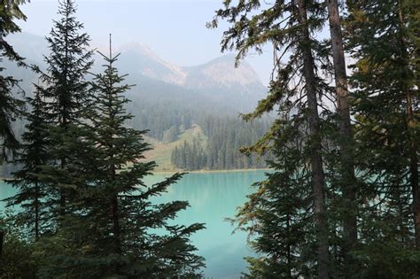 Psychanddeath Congenitaldisease Emerald Lake British Columbia