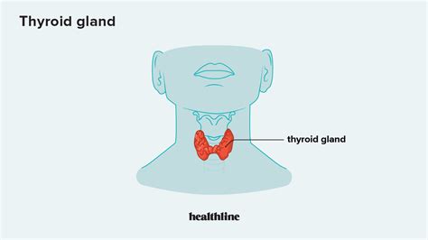 Hypothyroidism Underactive Thyroid Symptoms Causes Treatment