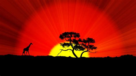 Saguaro cactus at sun set, coronado national forest, santa catalina mountains, tucson desert, arizona, usa saguaro cactus at sun set, coronado. African background ·① Download free stunning wallpapers ...