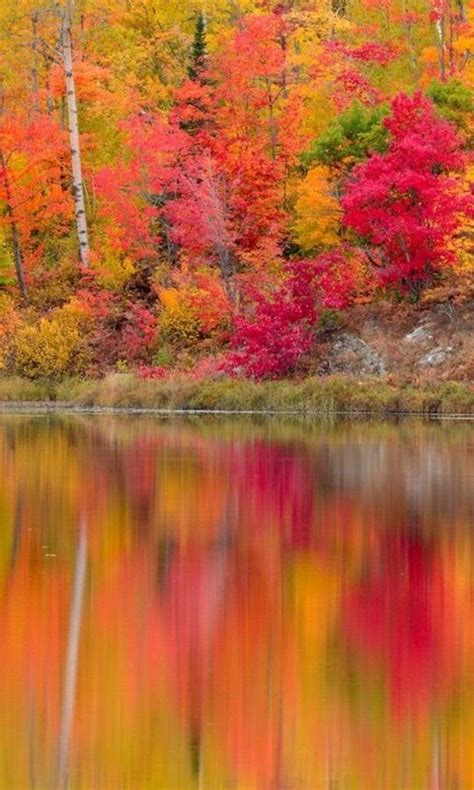 Pin By Susan Roop On Reflections Autumn Scenes