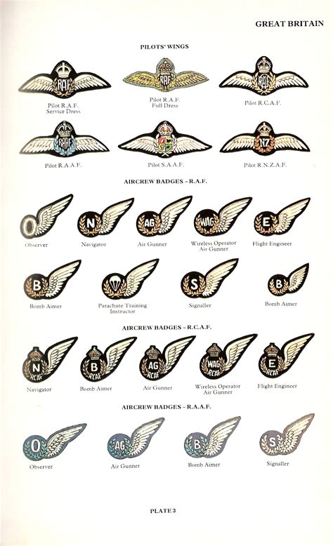 Commonwealth Air Force Wings