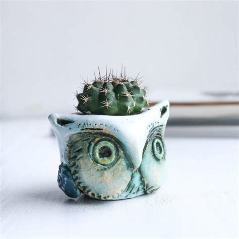 30 Easy Cute Succulent Planters And Pots Ideas You Will Love Ceramic