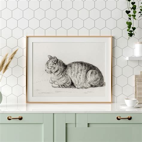 Cat Wall Art Cat Poster Cat Vintage Cat Lover T Cat Etsy
