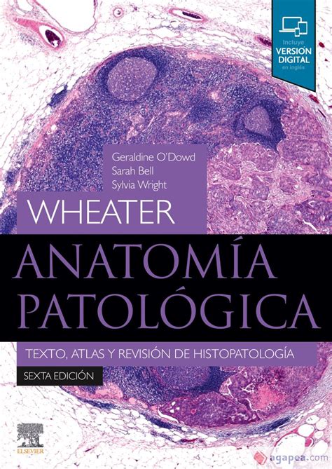Wheater Anatomia Patologica Texto Atlas Y Revision De Histopatologia