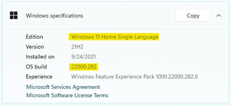 Download Windows 11 Pro Iso 22000795 Official Version Direct Links