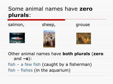46 Plural Animal Names Tips Temal