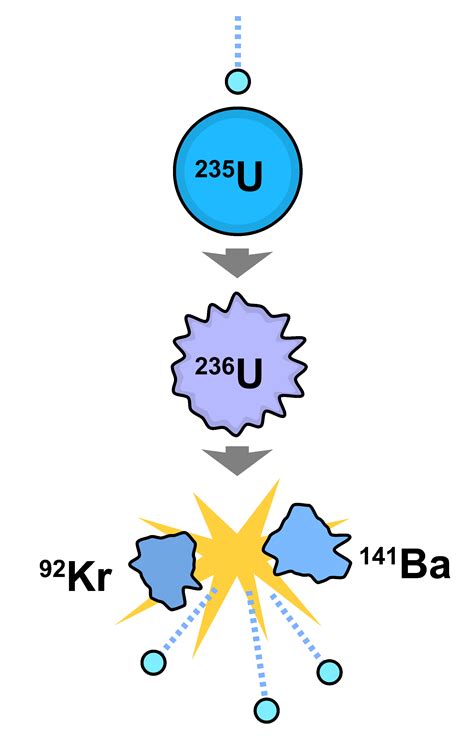 It was discovered in 1935 by arthur jeffrey dempster. Control Rods in Nuclear Reactors