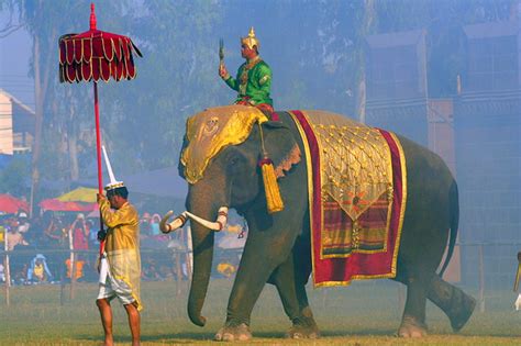 Guide To Thailands Annual Surin Elephant Round Up Festival Wanderwisdom