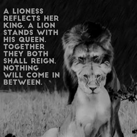 68 Love Lion And Lioness Quotes Carmod