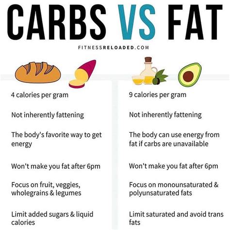 Differences And Similarities Between Fats And Carbohydrates Fats Have More Calories Per Gram