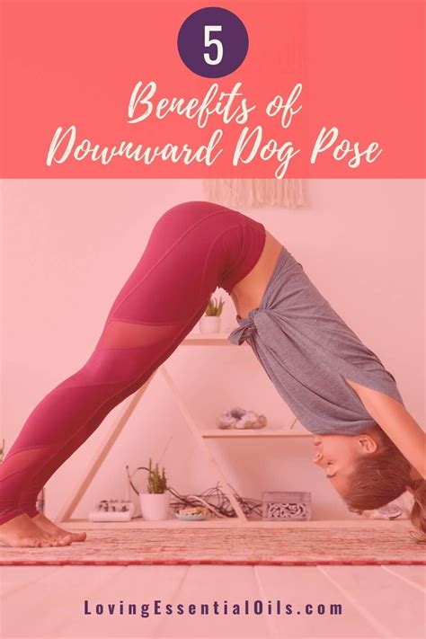 5 Benefits Of Downward Facing Dog Pose In Yoga Dog Poses Downward