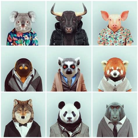 Sartorial Zoo Animals By Yago Partal Animals Pet Clothes Pet Portraits